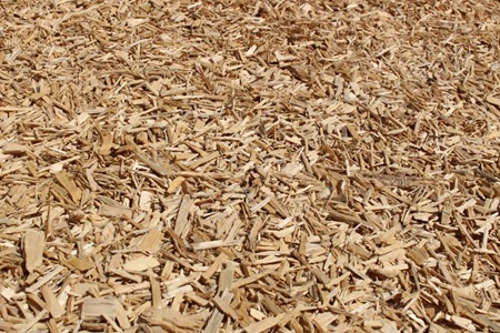 Sawmill Residue | How Wood Waste Becomes New Materials and Energy