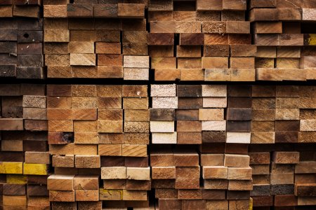 Wood Drying | The Process That Brings Stability to Timber