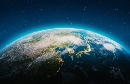 Earth Day | Rethinking the Role of Forests and Wood
