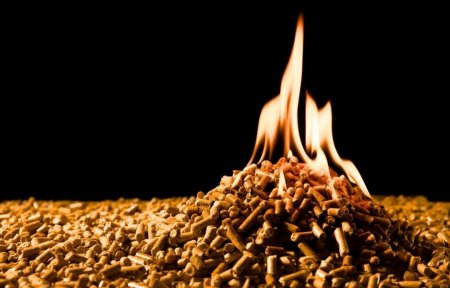 Wood Biomass Energy | Unlocking Hidden Value from Wood Residues