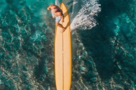 From Surfboards Back to Wood | Riding the Wave Toward Ocean Sustainability