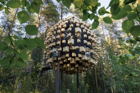 Treehotel | Where Architecture Meets the Swedish Forest