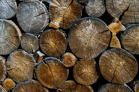Proper Storage of Raw Timber