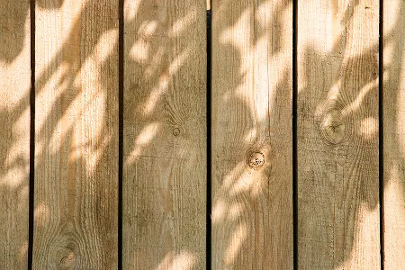 Hardwood vs. Softwood