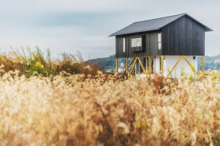 U-House | Designing for Flood Resilience and Sustainable Living
